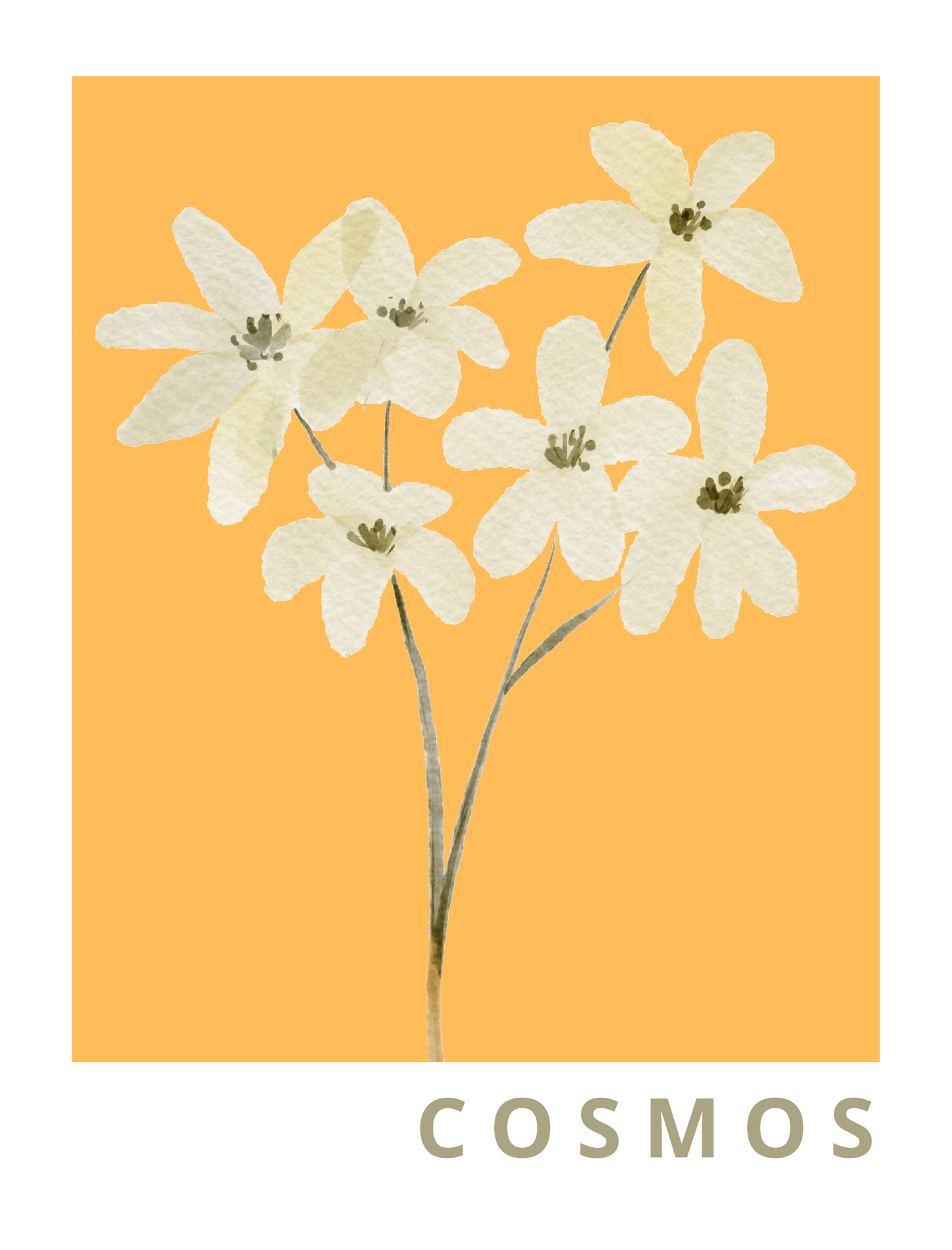 Cosmos Floral Wall Art featuring delicate cosmos flowers in a soft whimsical style