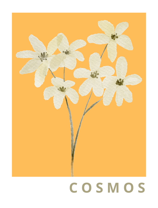 Cosmos Floral Wall Art featuring delicate cosmos flowers in a soft whimsical style